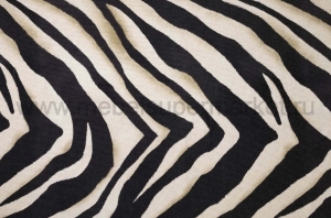 Zebra изображение 3